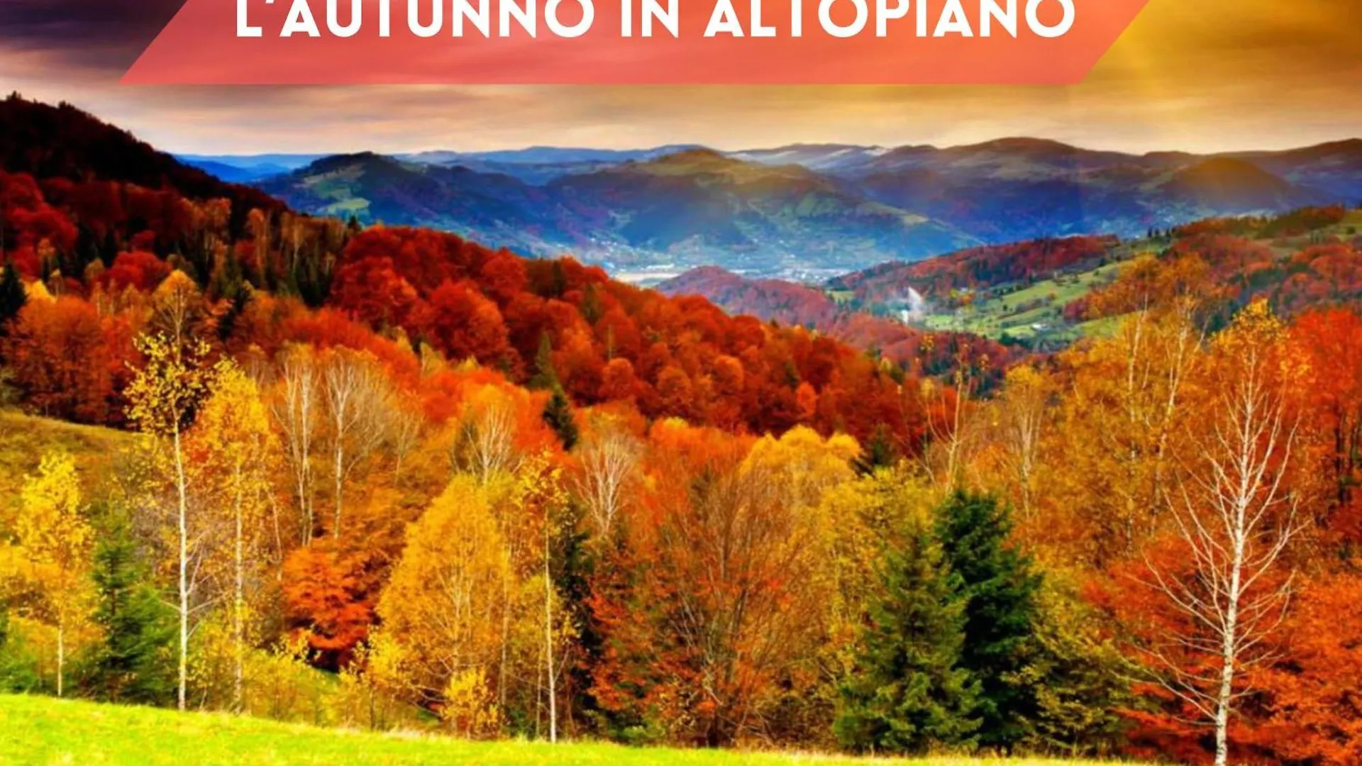5 Minuti Da Asiago - Garage E Bbq Roana